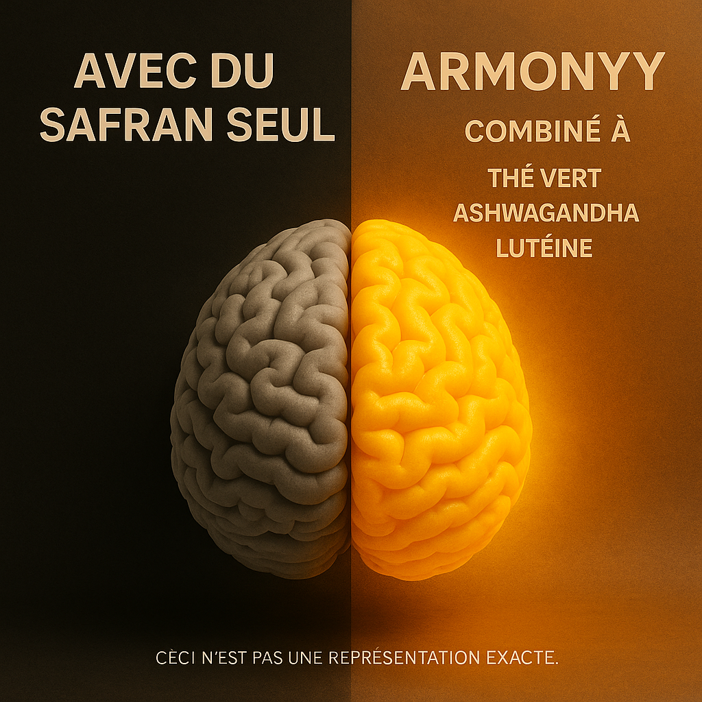 Complément Armonyy Anti-rumination
